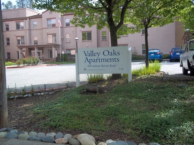 Valley Oaks