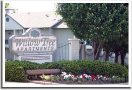 Willow Tree Apartments