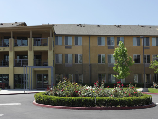 Eucalyptus Towers Co-op Apartments - Affordable Community