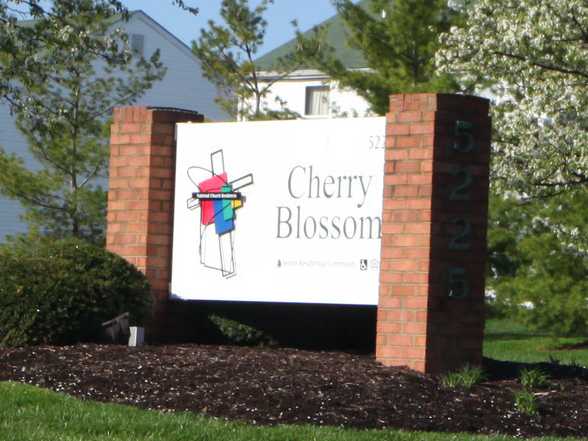 Cherry Blossom - Affordable Senior Housing