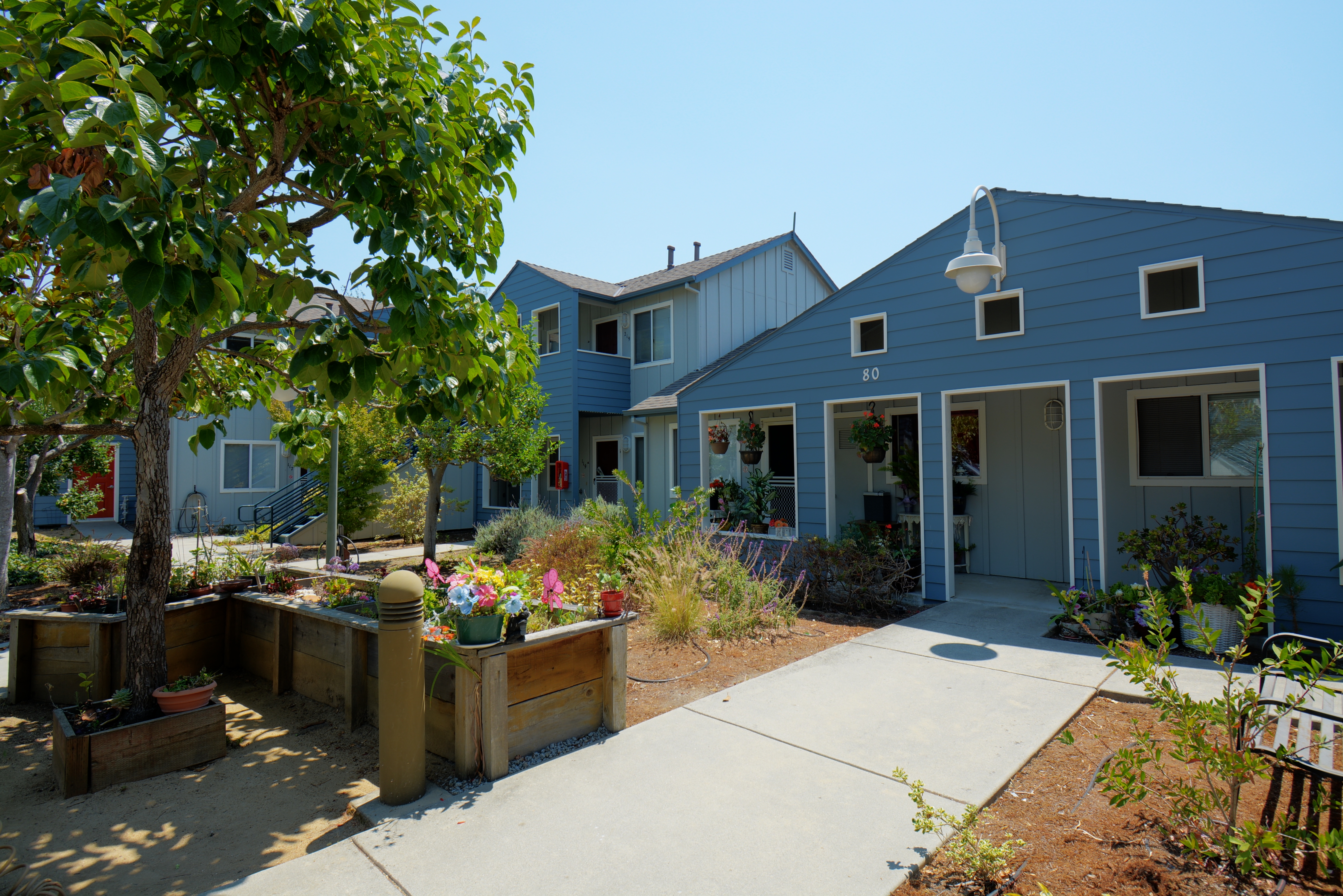 Arbor Cove - Low Income Senior Housing