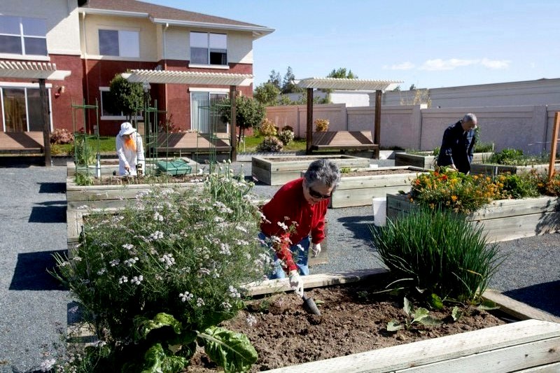 Antioch Hillcrest Terrace - Affordable Senior Housing