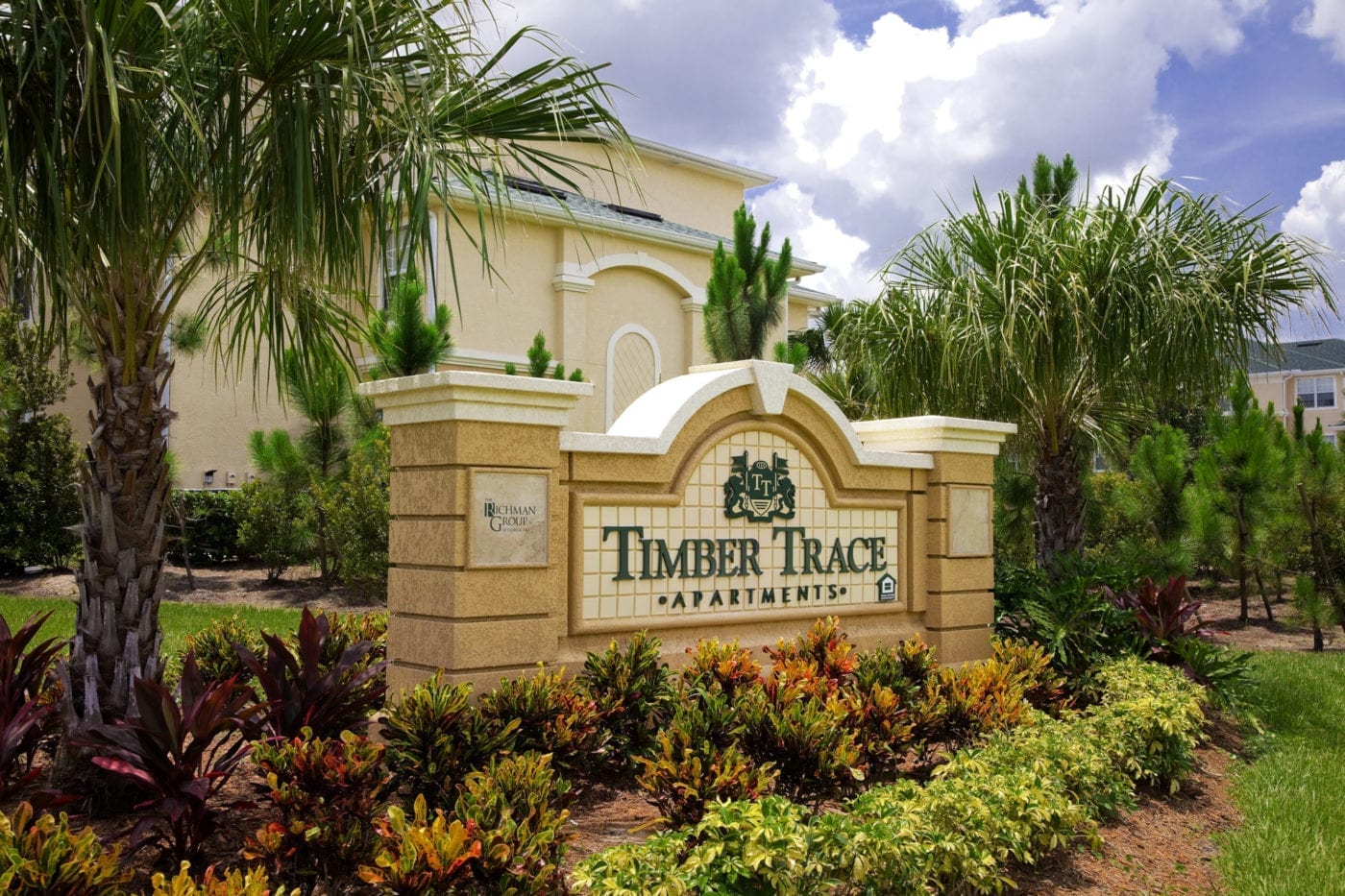 Timber Trace