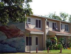 Cassiano Homes San Antonio Housing Authority Public Housing Apartment