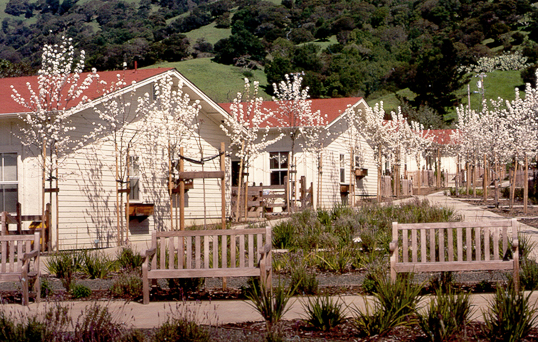 Rotary Valley Senior Village Affordable Housing