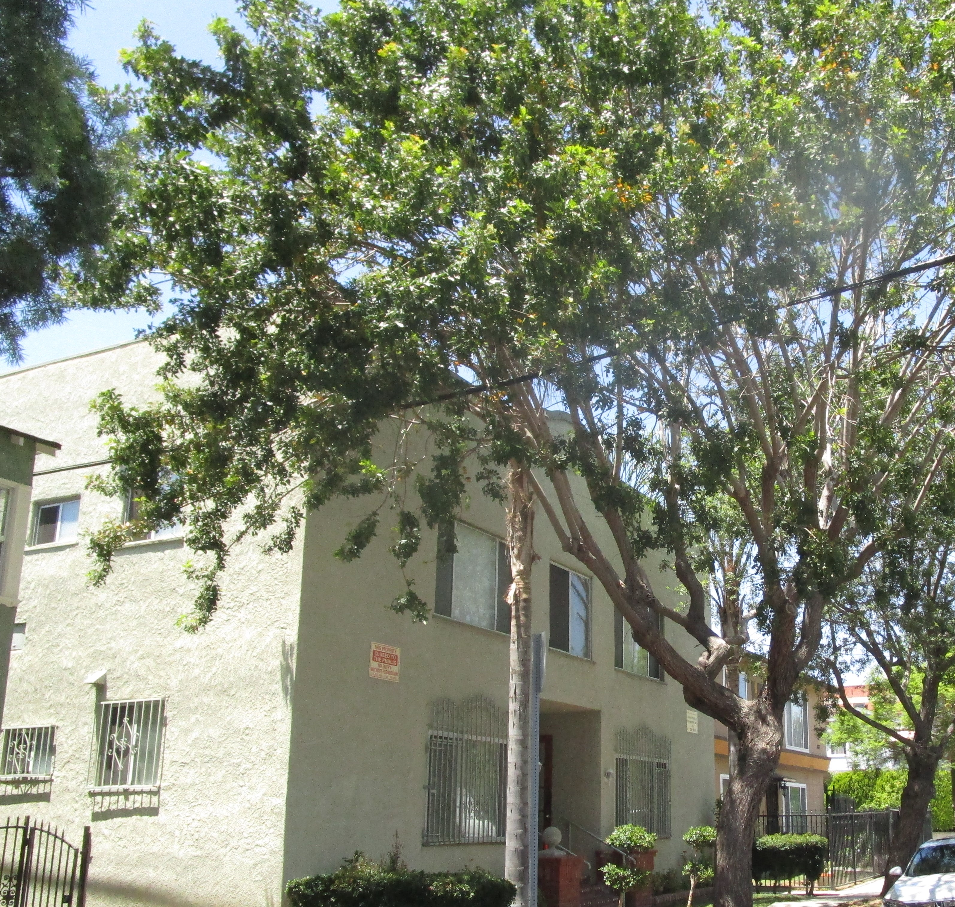 Alexandria Avenue Concord A&B Affordable/ Public Housing